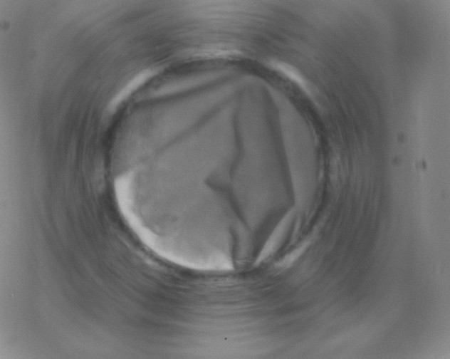 X0000076311306200610271929