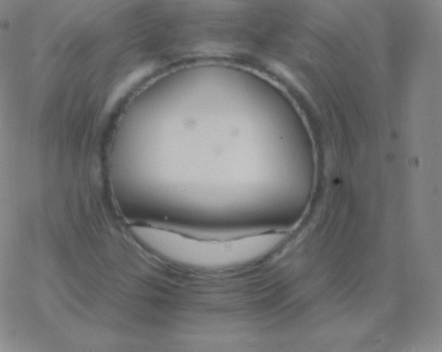 X0000076311307200610271929