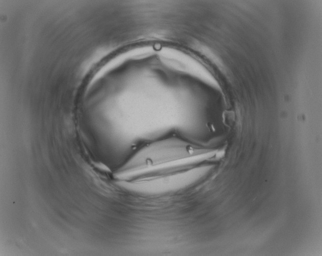 X0000076311308200610271929