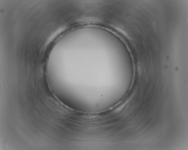 X0000076311309200610271929