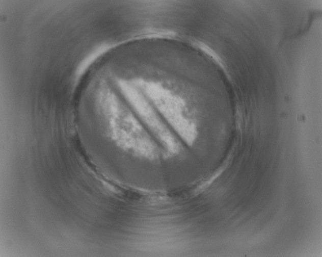 X0000076311310200610271929