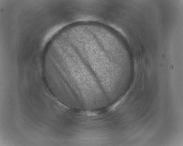 X0000076311311200610271929