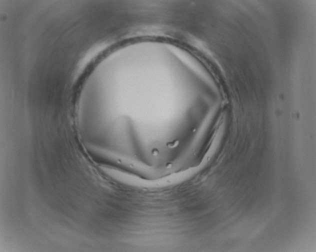 X0000076311312200610271929