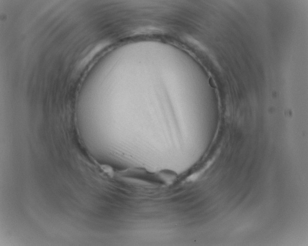 X0000076311313200610271929