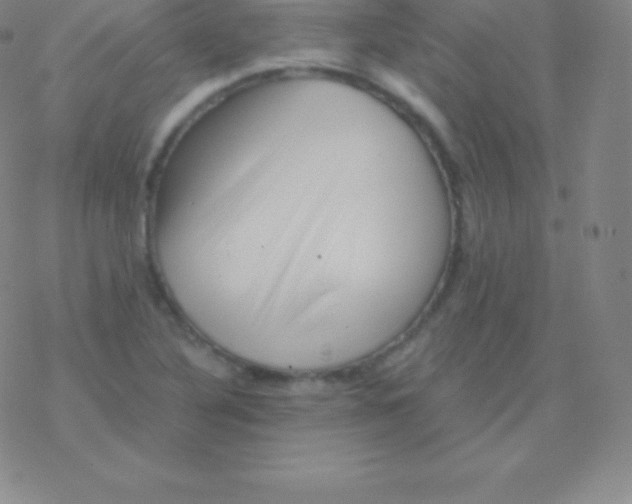 X0000076311316200610271929