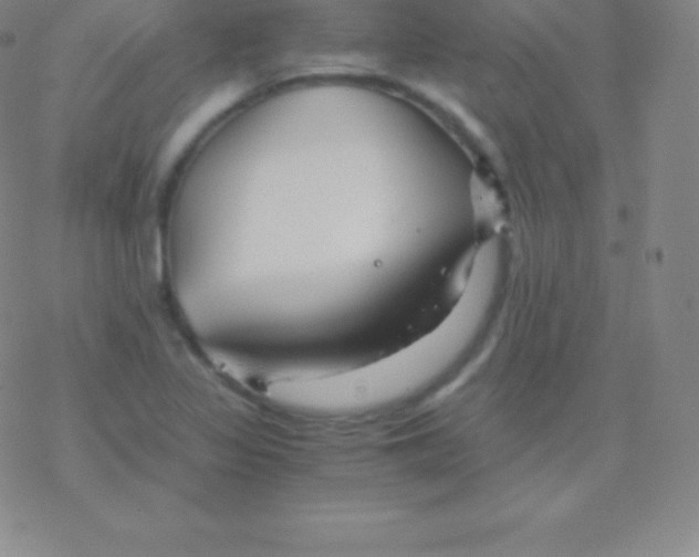 X0000076311317200610271929