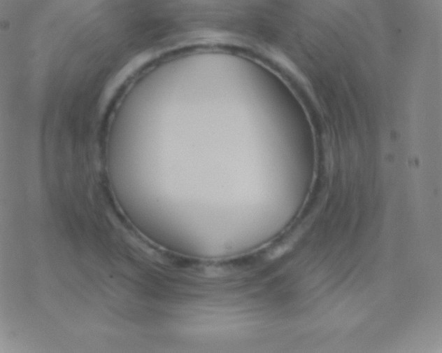 X0000076311318200610271929