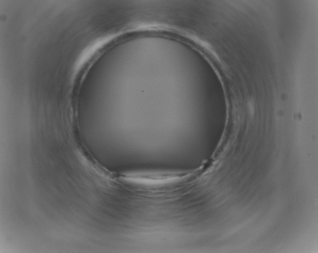 X0000076311319200610271929