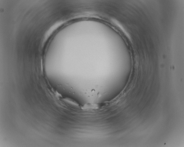 X0000076311320200610271929