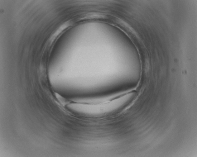 X0000076311321200610271929