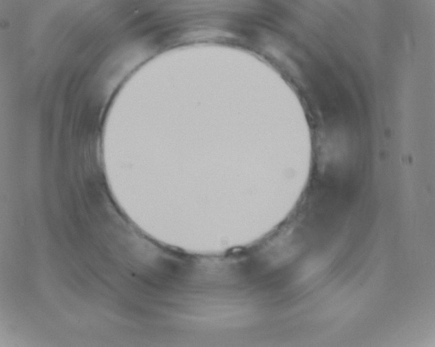 X0000076311322200610271929