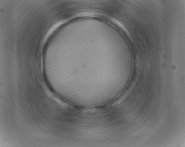 X0000076311323200610271929