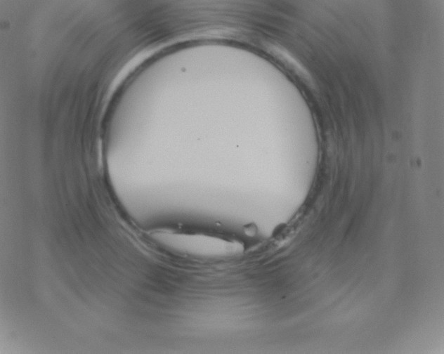 X0000076311324200610271929