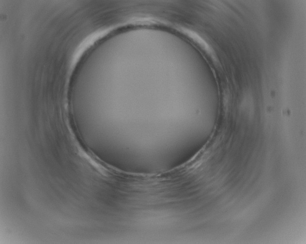 X0000076311327200610271929