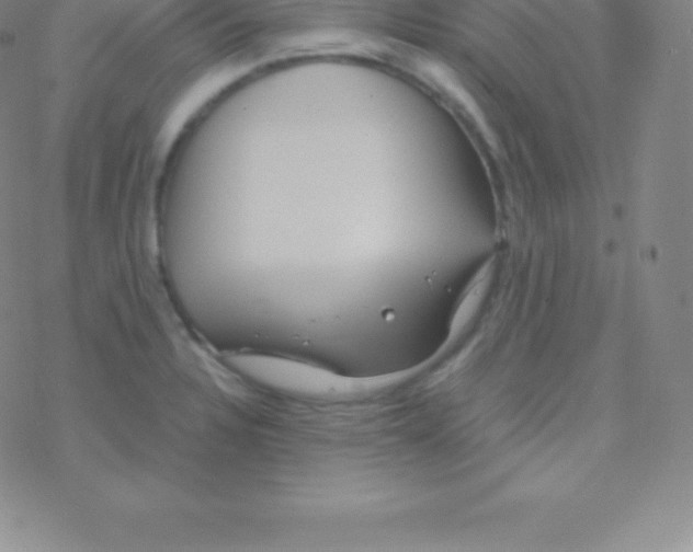 X0000076311328200610271929