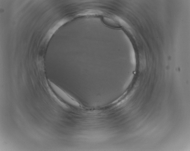 X0000076311329200610271929