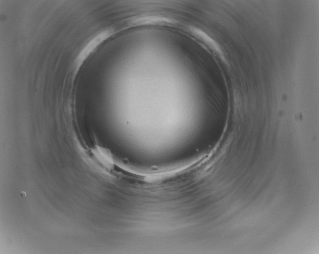 X0000076311330200610271929