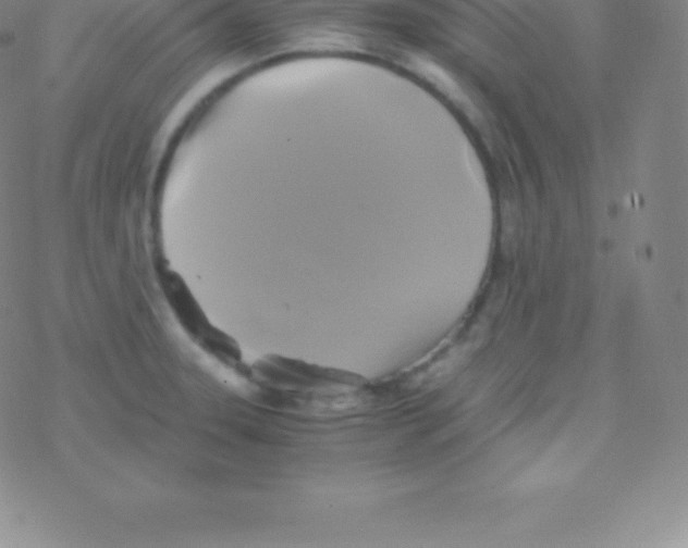 X0000076311331200610271929