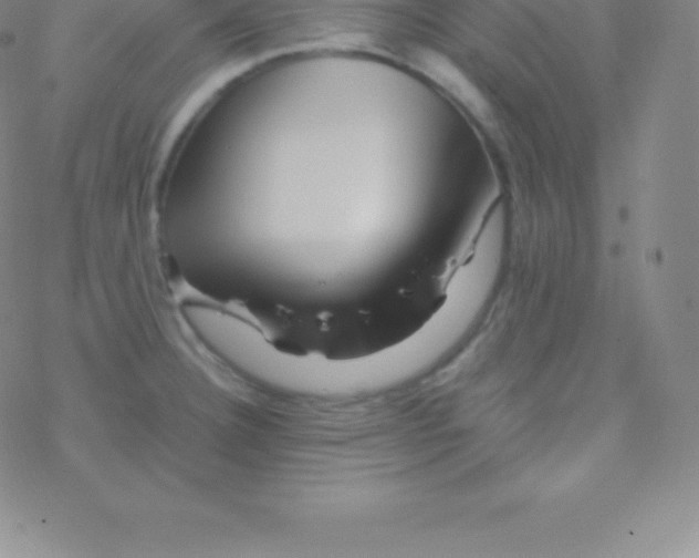 X0000076311332200610271929