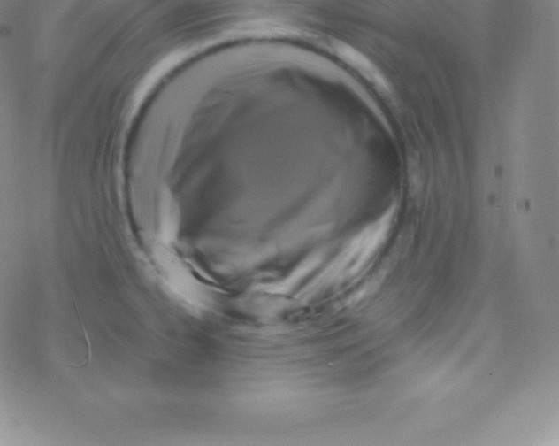 X0000076311334200610271929