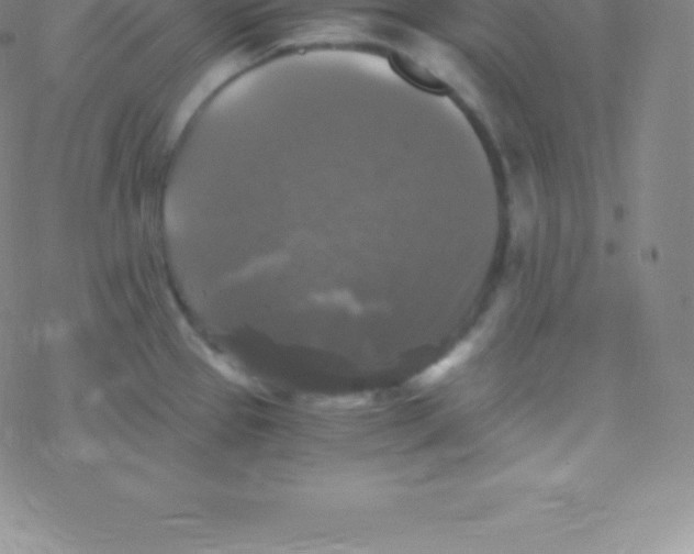 X0000076311337200610271930