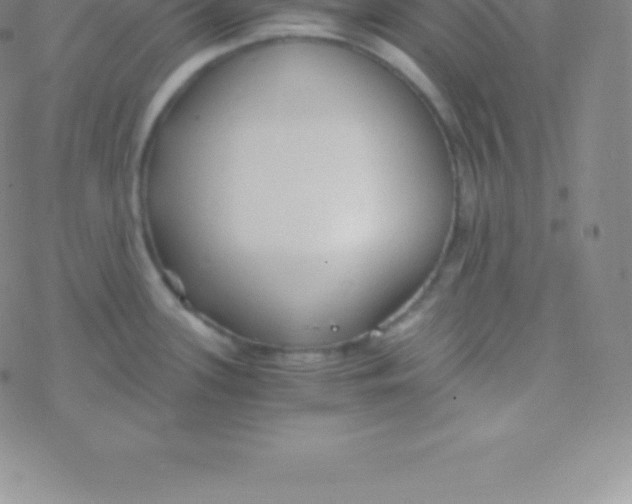 X0000076311339200610271930