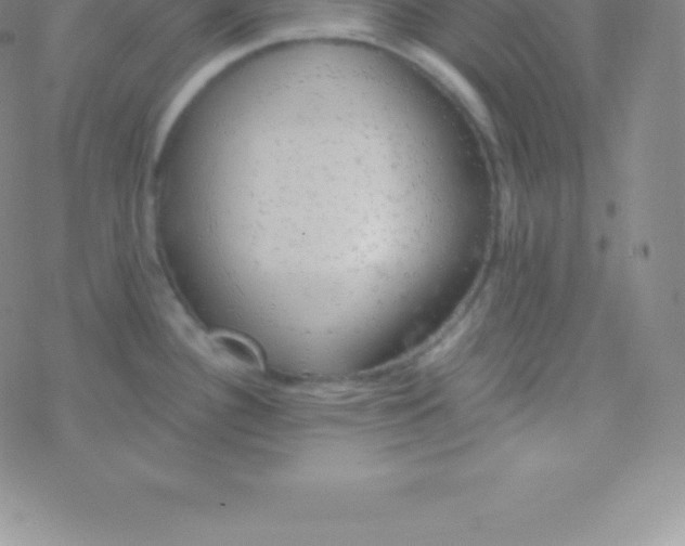 X0000076311340200610271930