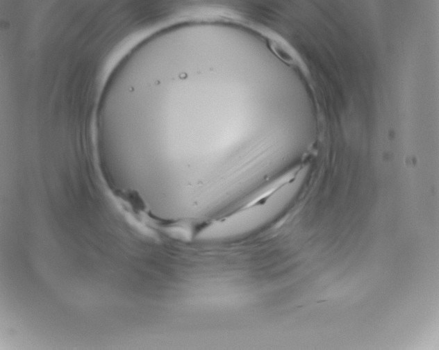 X0000076311343200610271930