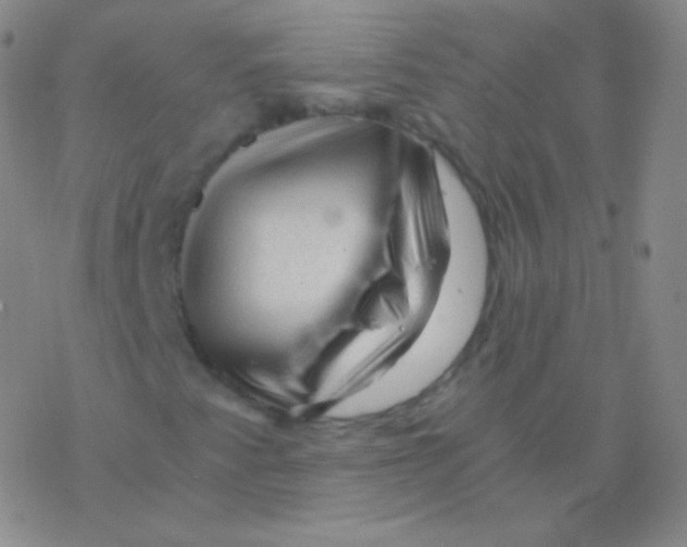 X0000076311345200610271929