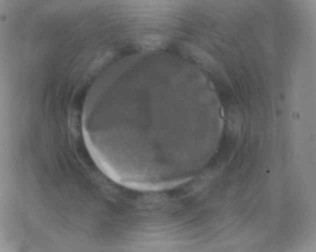 X0000076311346200610271929