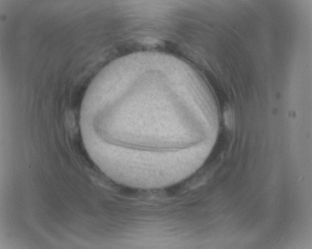 X0000076311347200610271929