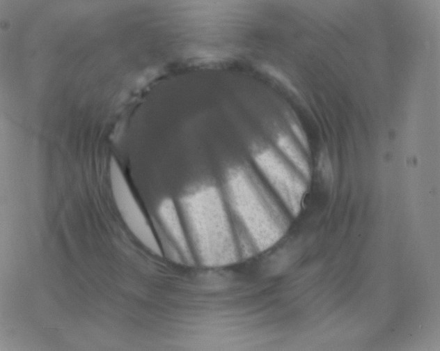 X0000076311348200610271929