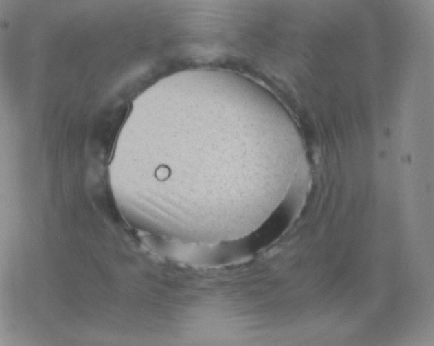 X0000076311349200610271929