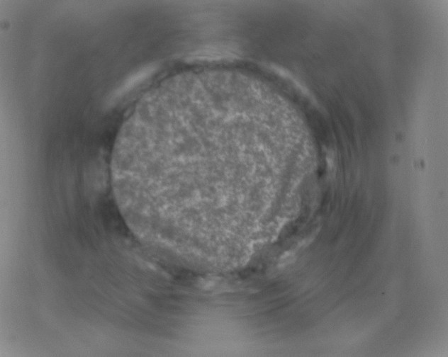 X0000076311350200610271929