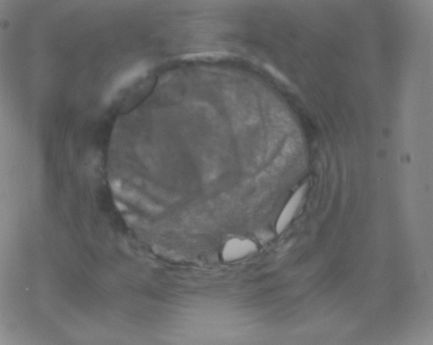 X0000076311351200610271929