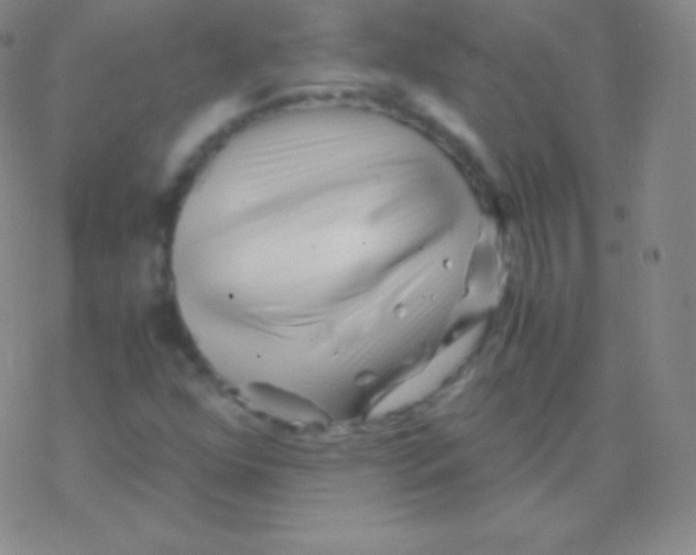 X0000076311352200610271929