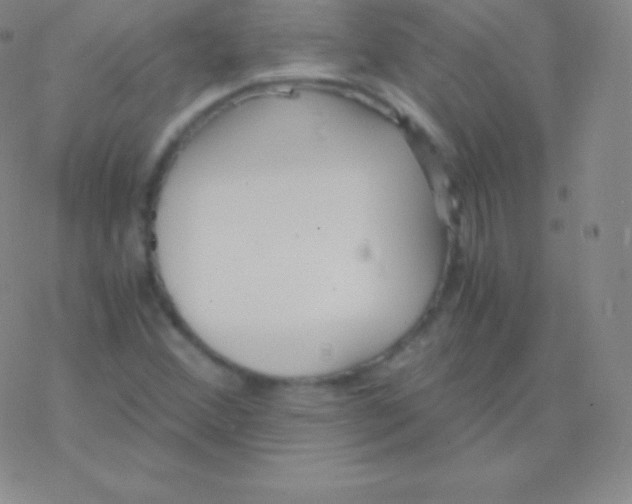 X0000076311356200610271929