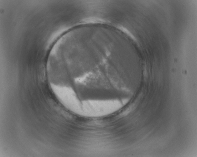 X0000076311358200610271929