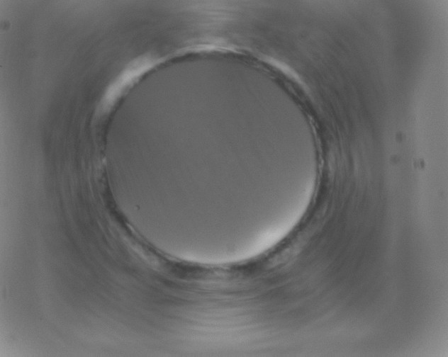 X0000076311359200610271929