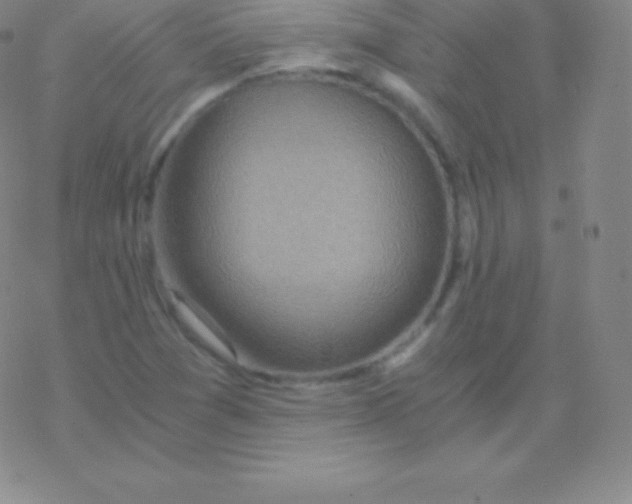 X0000076311361200610271929