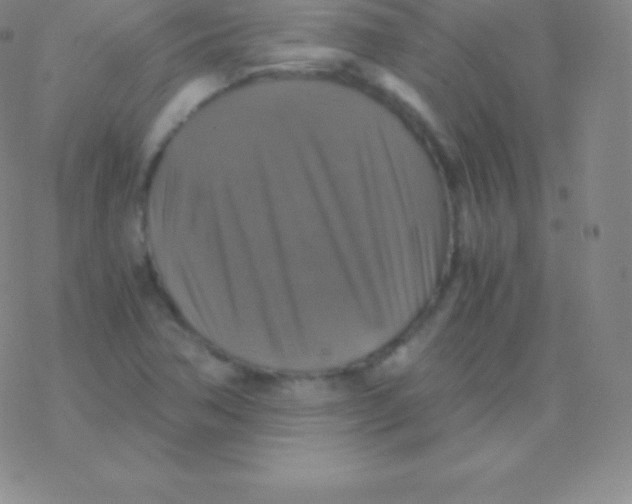 X0000076311362200610271929