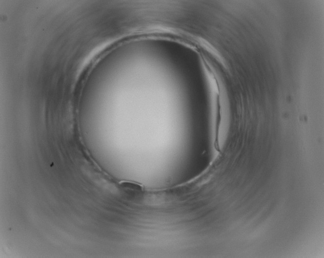 X0000076311364200610271929