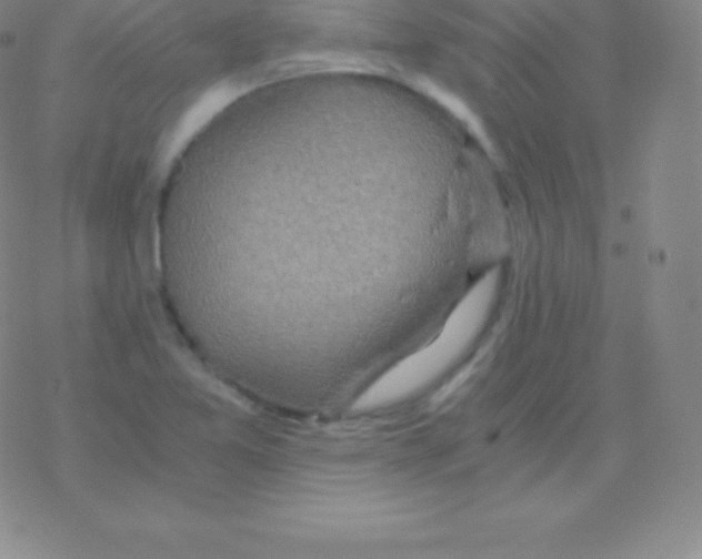 X0000076311365200610271929