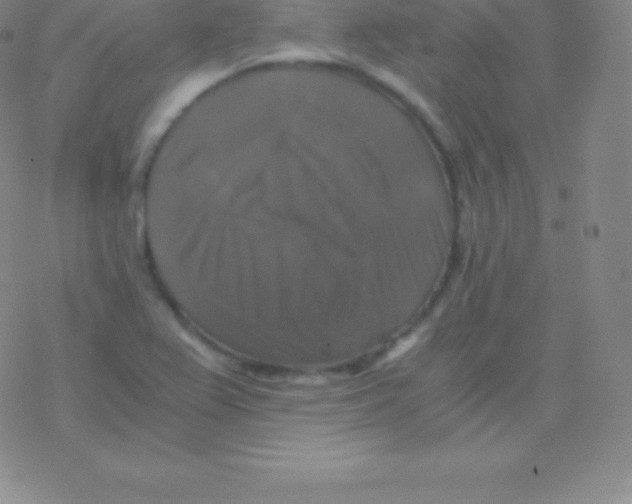 X0000076311367200610271929