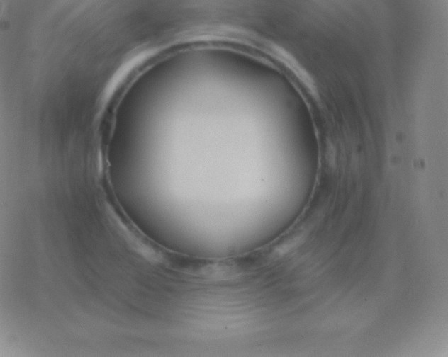 X0000076311368200610271928