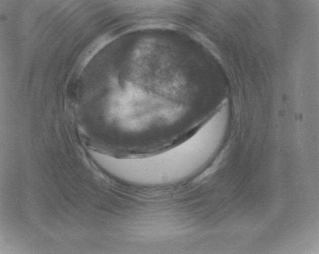 X0000076311369200610271928