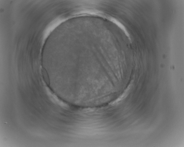 X0000076311373200610271928