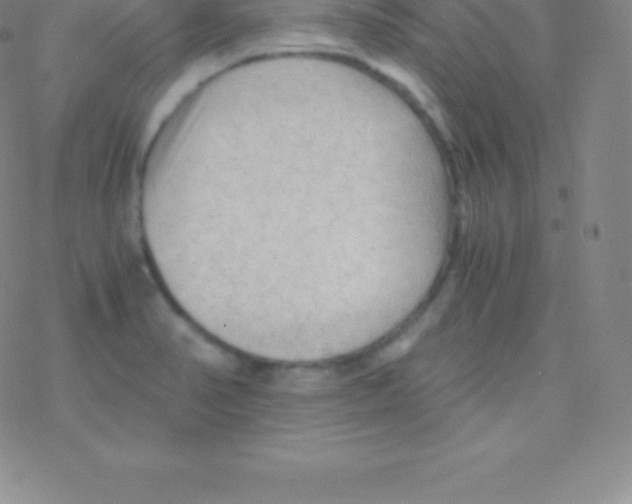 X0000076311374200610271928