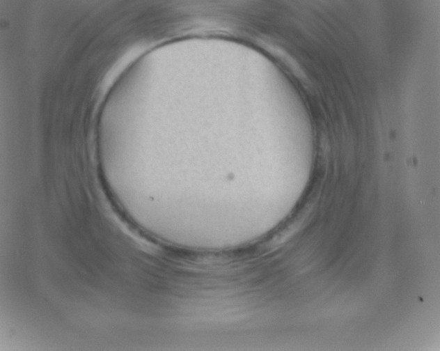 X0000076311375200610271928