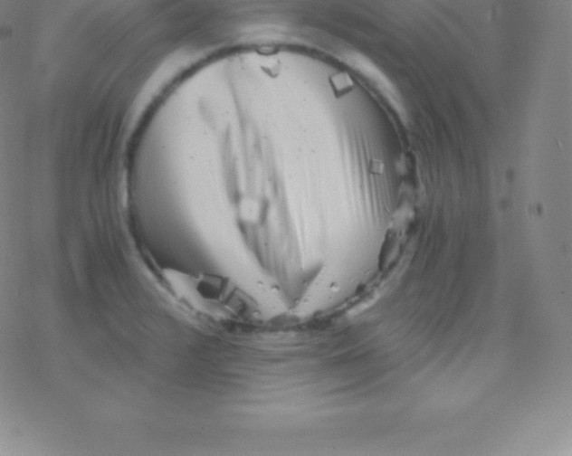 X0000076311376200610271928